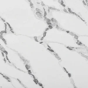 Home 13 - Home Calacatta Dover White Quartz