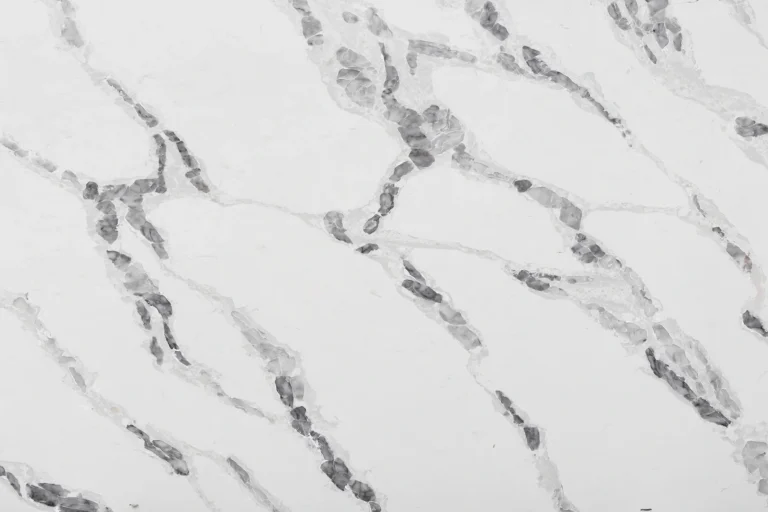 Calacatta Dover White Quartz